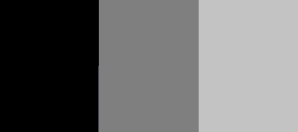 black and white color palette with black and grey colors