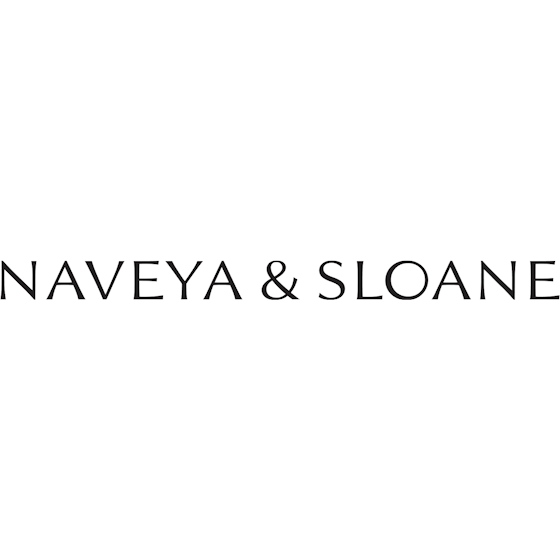 ns logo